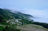 溆浦山背梯田：22℃清凉引客来 夏日避暑成新宠